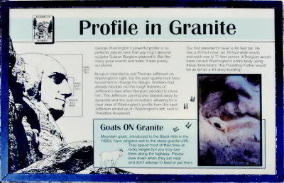 Profile in Granite - Goats ON Granite