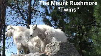 The 1924 gift from Canada to Custer State Park has also enhanced Mount Rushmore National Memorial