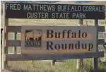 -buffalo-roundup-2010